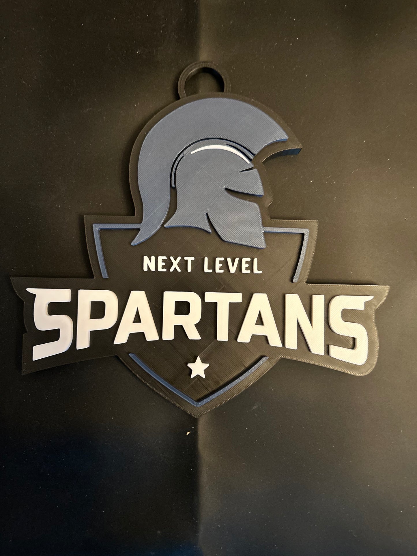 Next Level Spartans Inspired Big Chain