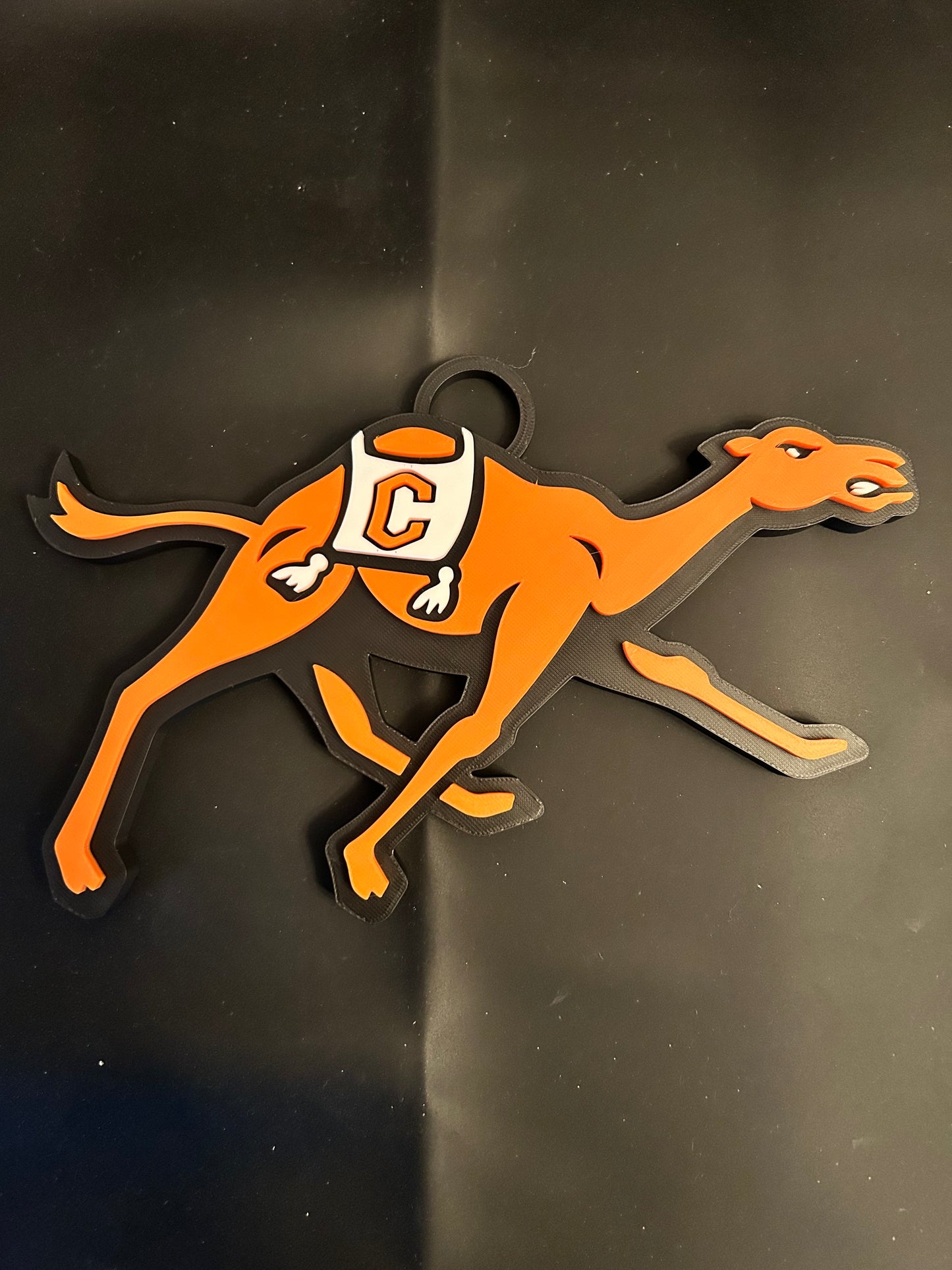 Campbell University  Inspired Big Chain