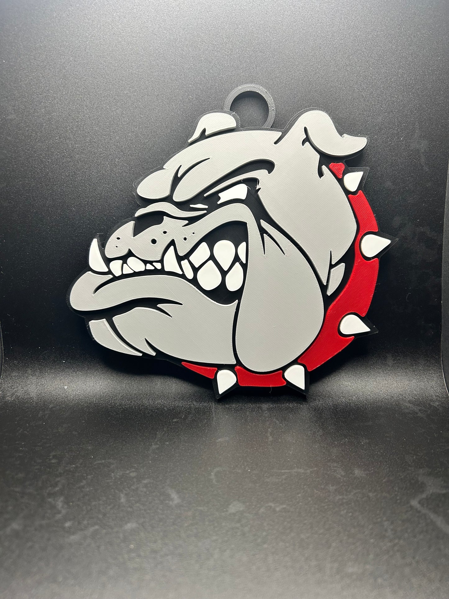 JAY M. ROBINSON HIGH  INSPIRED BIG CHAIN